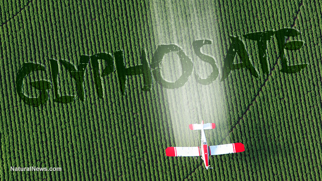 Glyphosate (RoundUp) found to cause liver disease… how much are you eating at every meal?